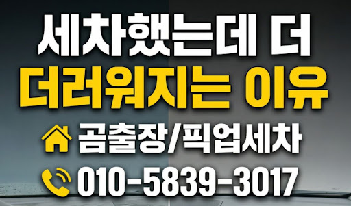 안양출장세차 선택 시 확인해야 할 친환경 특수 세정제의 안전성과 세척력 - 곰출장세차