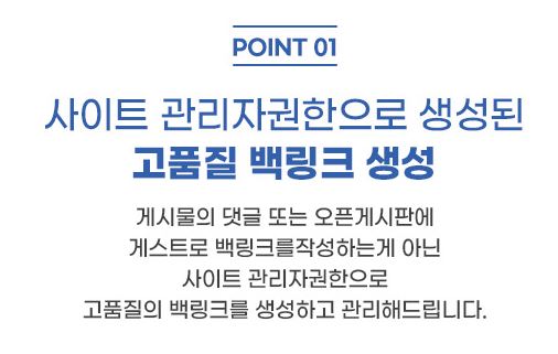 은가비플랜 백링크